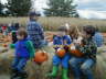Cameron, Max and Alex with Pumpkins