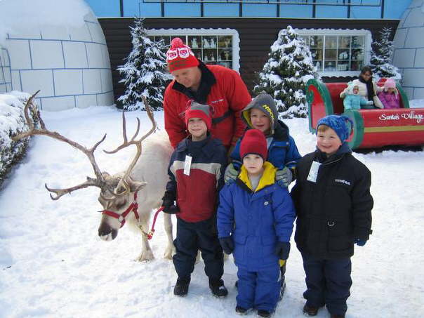 Reindeer Group Shot